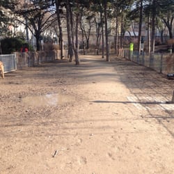 Hundezone Arne-Carlsson-Park