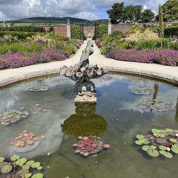 Powerscourt Gardens & House - The English gardens were lovely! - Parks Near Me - Enniskerry, WW Powerscourt Gardens & House - The English gardens were lovely! - Parks Near Me - Enniskerry, WW