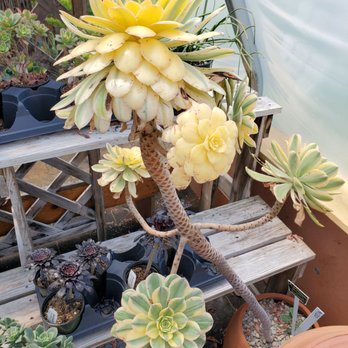 Crystal Gardens - Antiques Near Me - Frankfort, Michigan