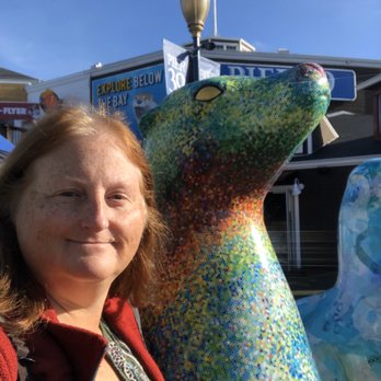 PIER 39 - The seal statues are many and each wonderfully unique - Shopping Centers Near Me - San Francisco, California PIER 39 - The seal statues are many and each wonderfully unique - Shopping Centers Near Me - San Francisco, California