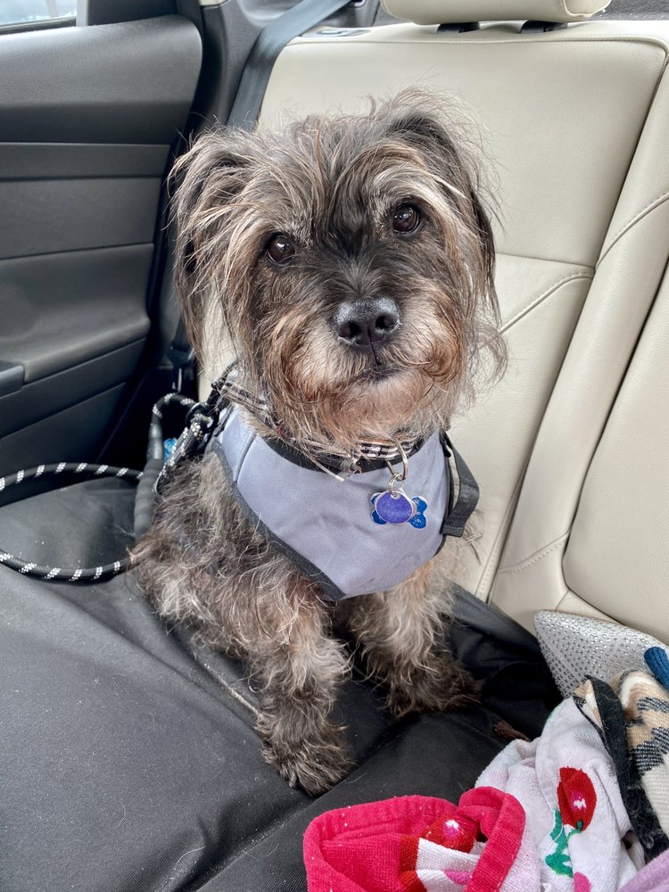 ANIMAL HEALTH CARE CLINIC 16 Photos & 29 Reviews 2118 Drew St