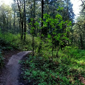 Marquam Nature Park - Hiking Near Me - Portland, Oregon Marquam Nature Park - Hiking Near Me - Portland, Oregon