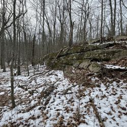 Crawley Preserve - A huge glacial erratic wall