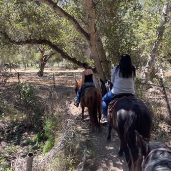 Los Padres Outfitters - Horseback Riding Near Me - Carpinteria, California Los Padres Outfitters - Horseback Riding Near Me - Carpinteria, California