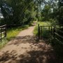 Photo of South Boulder Creek Trail