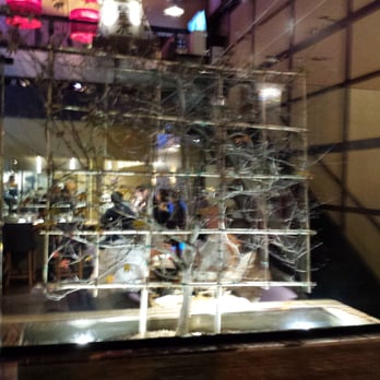 Tokio - Ramen Near Me - Denver, Colorado Tokio - Ramen Near Me - Denver, Colorado