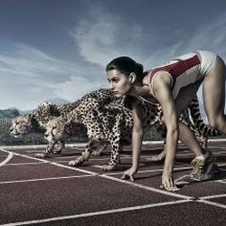 Cheetahfit Training and Massage Center - CheetahFit Training and Massage Center