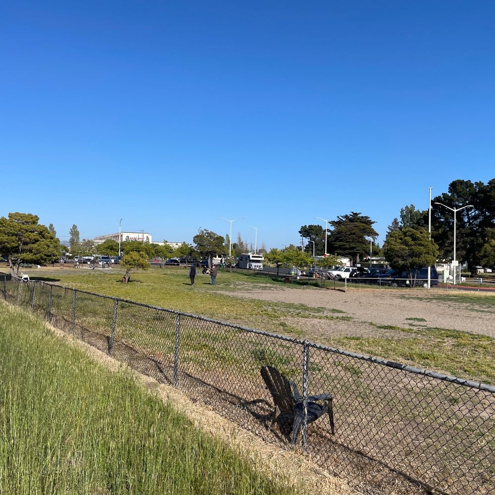 Main Street Dog Park - Huge dog park! - Dog Parks Near Me - Alameda, California Main Street Dog Park - Huge dog park! - Dog Parks Near Me - Alameda, California