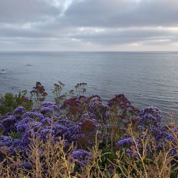 Palos Verdes Beach - More flowers - Beaches Near Me - Palos Verdes Estates, California