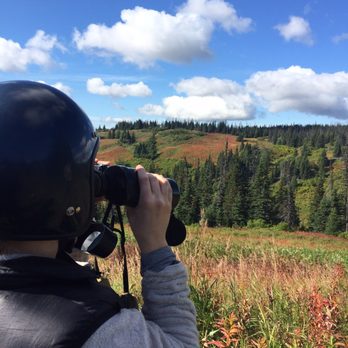 Alaska Wilderness 4-Wheeler Tours - Tours Near Me