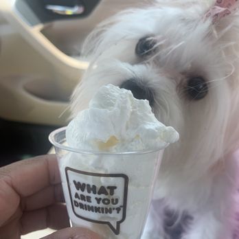 Dunkin - Pup cup... yes please - Donuts Near Me - Birmingham, Alabama Dunkin - Pup cup... yes please - Donuts Near Me - Birmingham, Alabama