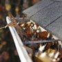 Photo of Eddie's Window & House Cleaning Service