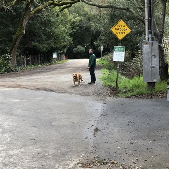 Indian Valley Open Space Preserve - Second entrance unmarked. Look for "restricted access" and "Not a though street" signs. - Parks Near Me - Novato, California