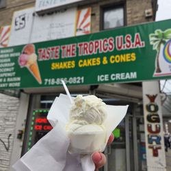 Taste the Tropics USA - Soursop
