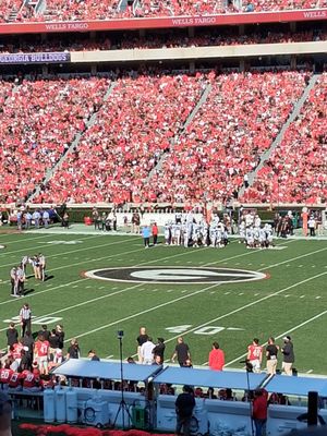 Sanford Stadium by null