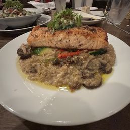 Black & Gold Salmon