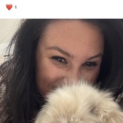 Top Quality Bunnies
