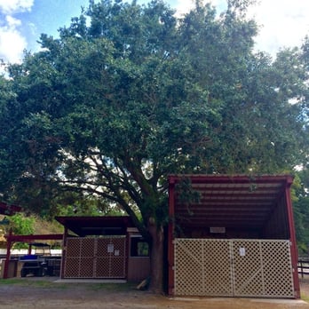 Willowood Stables - Hay Room and Shavings Bin Between Barn 2 & 3 - Horse Boarding Near Me - Greenacres, Florida Willowood Stables - Hay Room and Shavings Bin Between Barn 2 & 3 - Horse Boarding Near Me - Greenacres, Florida