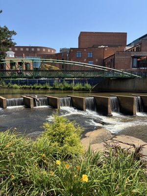 The Lazy Goat by null