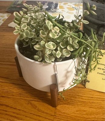 Bouquets Unique Florist