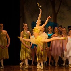 Newington Dance Center - Scene from "The Legend of The Magical Forest"