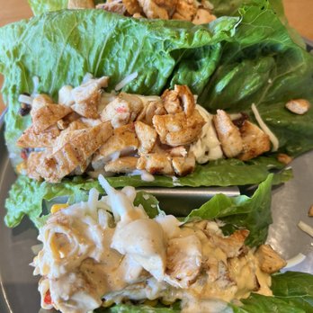Avocado Mexican Grill - Chicken taco lettuce wraps - Mexican Near Me - Celebration, Florida Avocado Mexican Grill - Chicken taco lettuce wraps - Mexican Near Me - Celebration, Florida