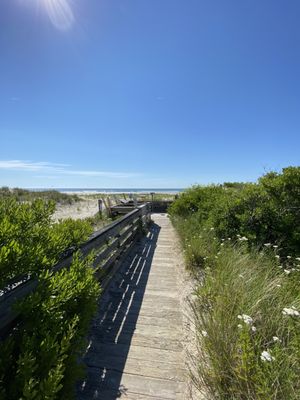 Cape May National Wildlife Refuge by null