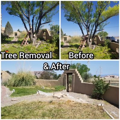 Tree Removal Service - Safe, efficient, and professional tree removal services to protect your property and enhance your landscape. Whether you need to remove a hazardous tree or clear space for a new project, our experienced team ensures a smooth and careful process. We handle trees of all sizes with precision and care! Tree Removal Service - Safe, efficient, and professional tree removal services to protect your property and enhance your landscape. Whether you need to remove a hazardous tree or clear space for a new project, our experienced team ensures a smooth and careful process. We handle trees of all sizes with precision and care!