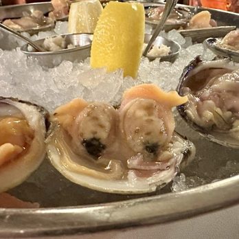 White Horse Tavern - New American Near Me - Newport, Rhode Island White Horse Tavern - New American Near Me - Newport, Rhode Island