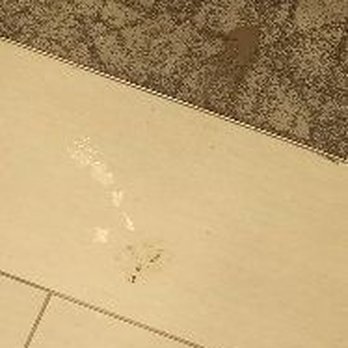 Pearl Dadeland - Poop an piss - Apartments Near Me - Miami, Florida Pearl Dadeland - Poop an piss - Apartments Near Me - Miami, Florida