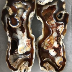 Elemental Art - Tampa Bay Coral