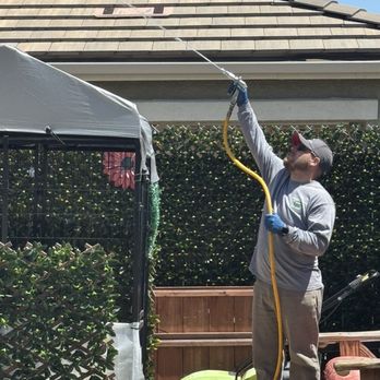 CAD Pest Control - Shooting to the roof line. Eddie with CAD Pest Control. Julie A - Pest Control Near Me - Reno, Nevada CAD Pest Control - Shooting to the roof line. Eddie with CAD Pest Control. Julie A - Pest Control Near Me - Reno, Nevada