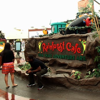 Rainforest Cafe - American Near Me - Sunrise, Florida Rainforest Cafe - American Near Me - Sunrise, Florida
