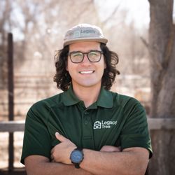 Legacy Tree Company - Harrison
