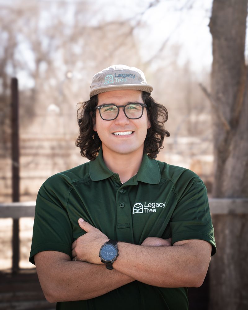 Legacy Tree Company - tree service in Albuquerque, NM