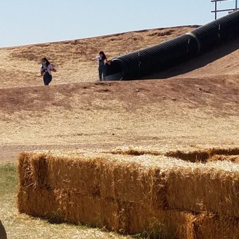 Mother Nature's Farm - kids sliding from the slide on top of the little hill. - Farms Near Me - Gilbert, Arizona Mother Nature's Farm - kids sliding from the slide on top of the little hill. - Farms Near Me - Gilbert, Arizona
