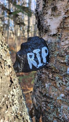 Tony Knowles Coastal Trail by null