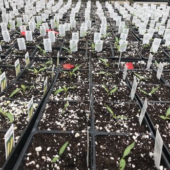 DeMonye's Greenhouse - Nurseries & Gardening Near Me - Columbus, Ohio