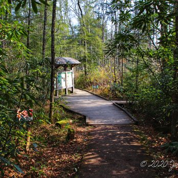 Cranberry Glades Botanical Area - Hiking Near Me - Richwood, West Virginia Cranberry Glades Botanical Area - Hiking Near Me - Richwood, West Virginia