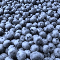 Beulah Berries - Freshly picked out of the field!