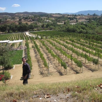 Frangipani Estate Winery - my hubby trying to find a place to pee - Wineries Near Me - Temecula, California Frangipani Estate Winery - my hubby trying to find a place to pee - Wineries Near Me - Temecula, California