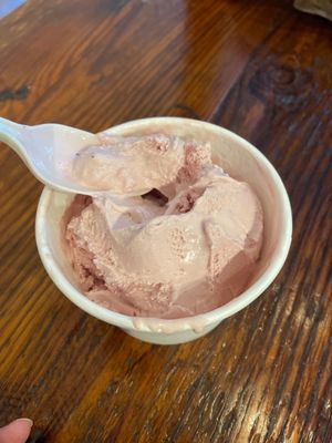 Dippity Do Dahs Homemade Ice Cream by null