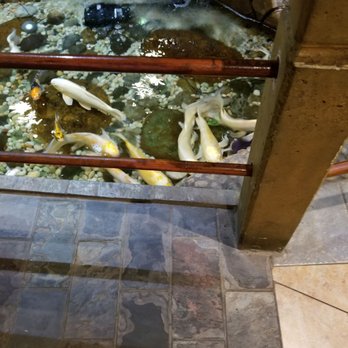 Ginza Buffet Rock Hill - inside view, koi fish - Buffets Near Me - Rock Hill, South Carolina