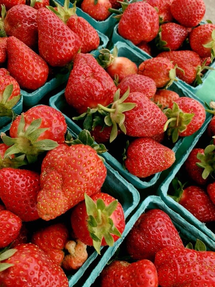 ROSEDALE FARMERS MARKET Updated September 2024 8777 Philadelphia Rd, Rosedale, Maryland