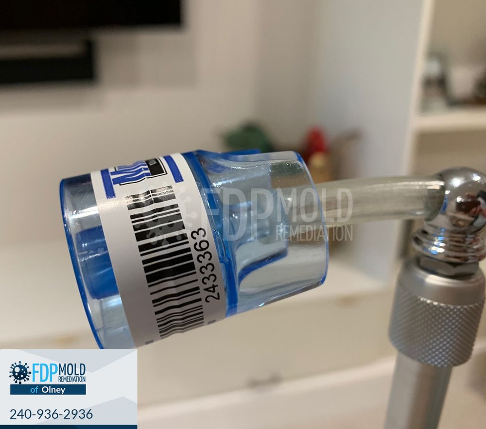 FDP Mold Remediation - Olney - mold inspector in Olney, MD