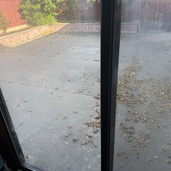 Hugo Lopez Landscaping - Before - Landscaping Near Me