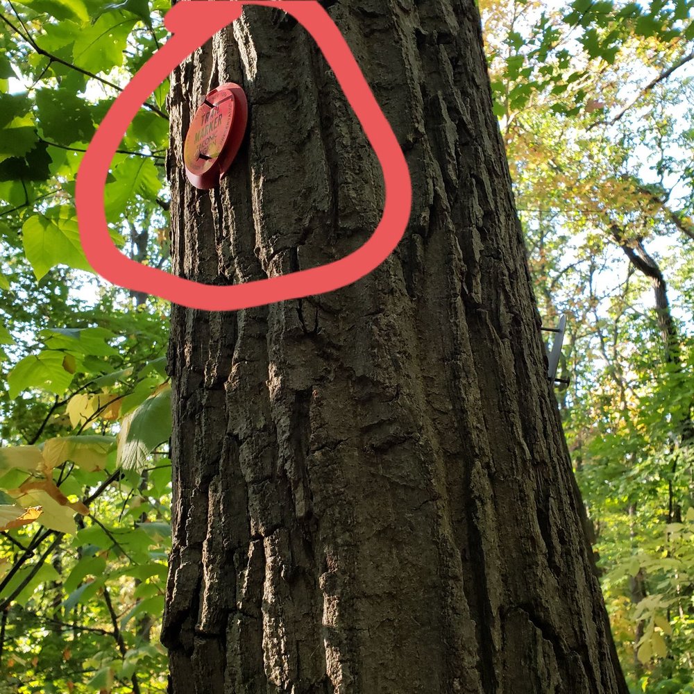 Fishkill Ridge - Red Marker. - Hiking Near Me - Beacon, New York Fishkill Ridge - Red Marker. - Hiking Near Me - Beacon, New York