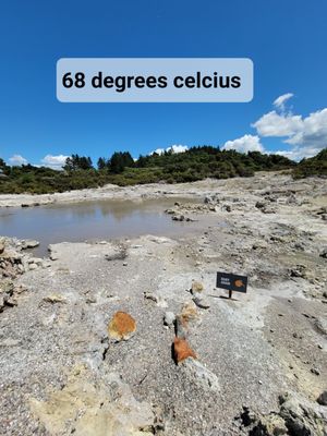 Hell's Gate Geothermal Reserve and Mud Spa by null