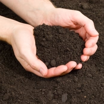 The Mulch Yard - Topsoil, Garden Soil, and Fill Dirt - Nurseries & Gardening Near Me - Greensboro, North Carolina The Mulch Yard - Topsoil, Garden Soil, and Fill Dirt - Nurseries & Gardening Near Me - Greensboro, North Carolina