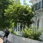 Photo of MVeBike- Oak Bluffs Bike Rental